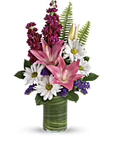 Teleflora's Playful Daisy Bouquet