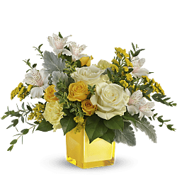 Teleflora's Sweet Sunlight Bouquet