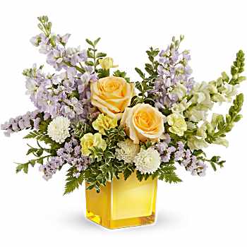 Teleflora's Sunshine Dreams Bouquet