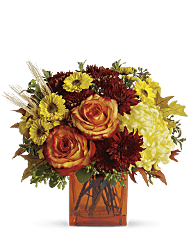 Multi-Colored , Roses , Autumn Expression Bouquet , Same Day Flower Delivery By Teleflora