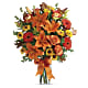 Burst of Autumn