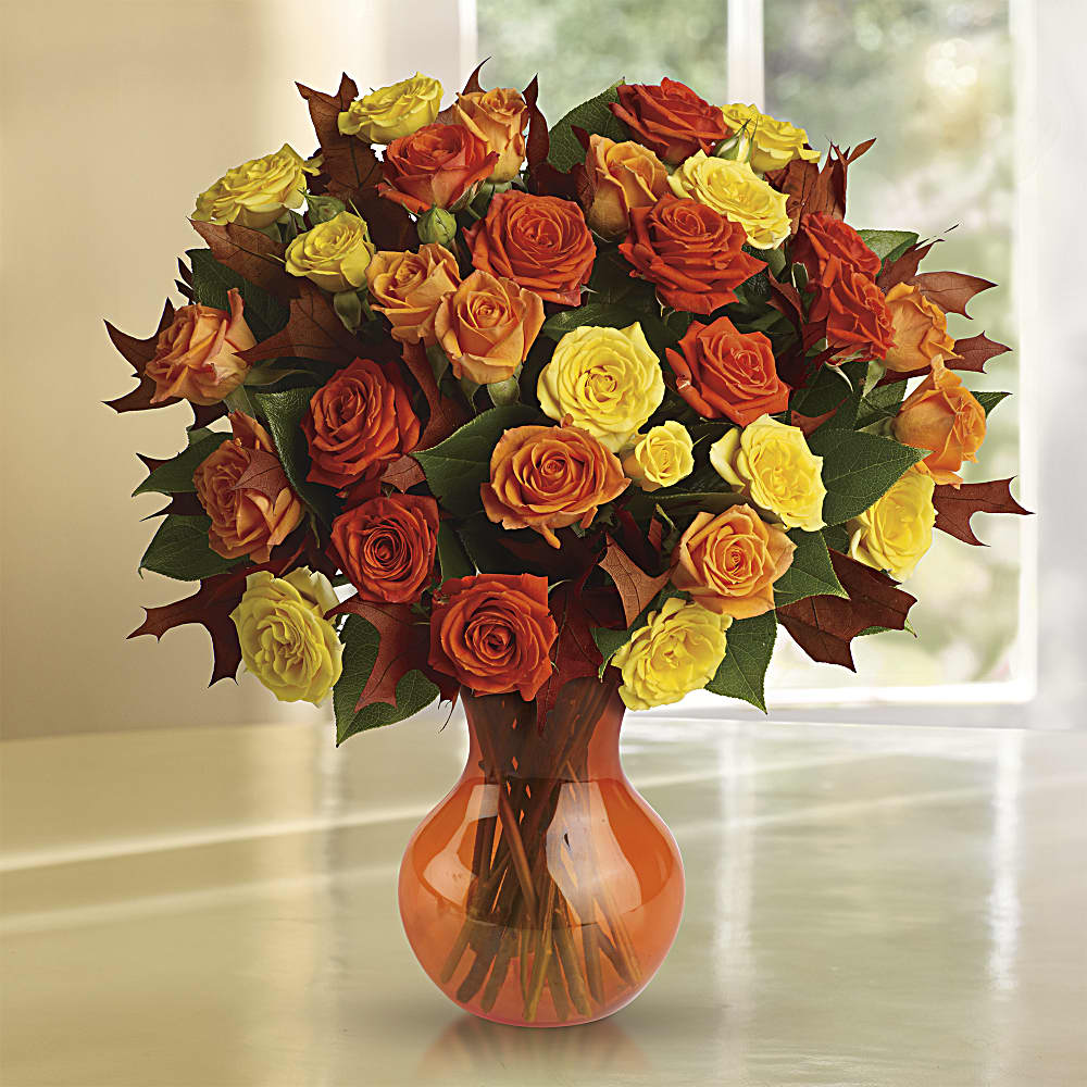 Fall roses clearance