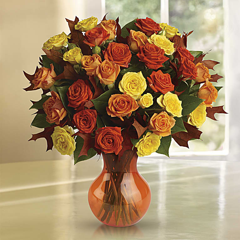Fabulous Fall Roses
