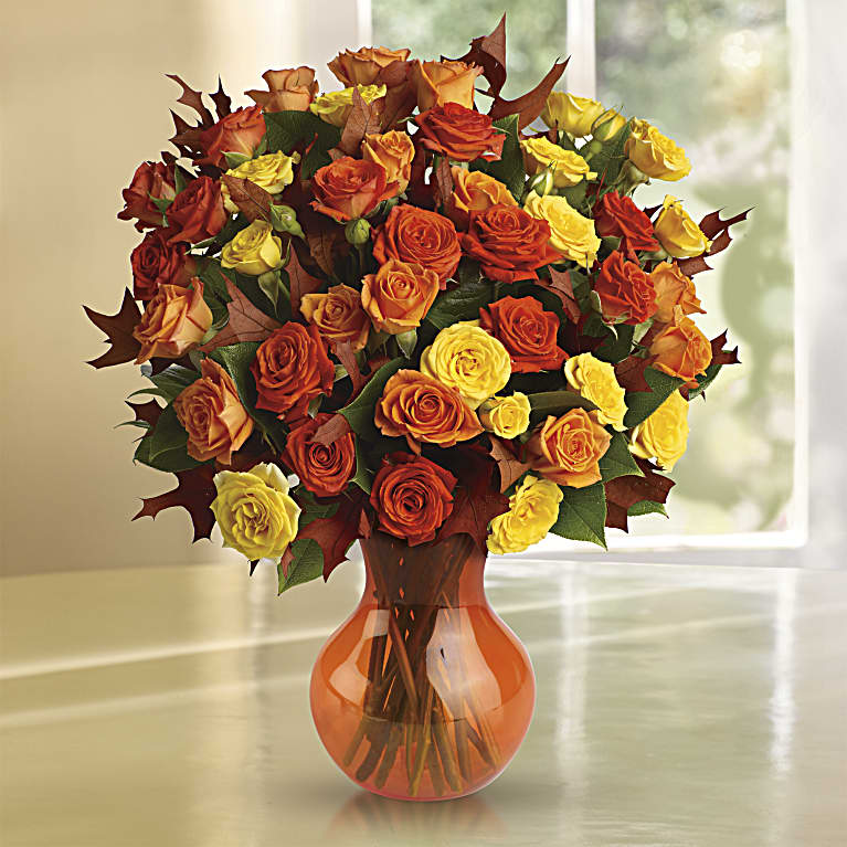 Fabulous Fall Roses
