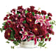 Stunning Statement Bouquet