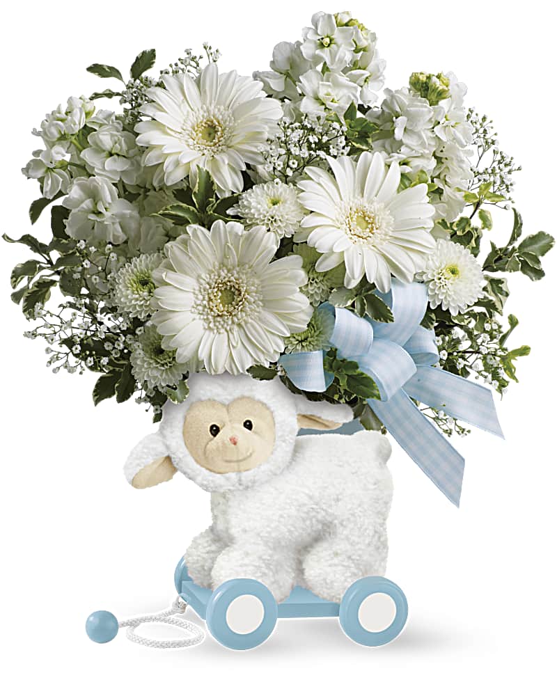 teleflora new baby