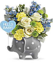 Teleflora's Hello Sweet Baby - Blue Flowers