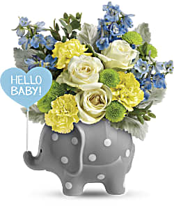 Teleflora's Hello Sweet Baby - Blue