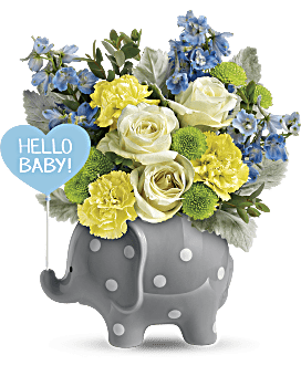 Teleflora's Hello Sweet Baby - Blue Bouquet