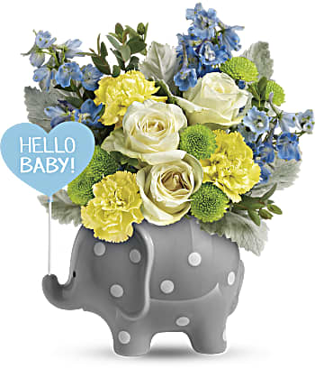 Teleflora's Hello Sweet Baby - Blue