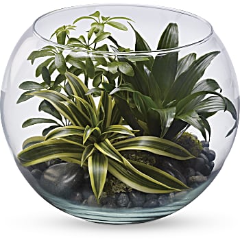 Sphere Of Tranquility Terrarium