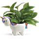 Peaceful Unicorn Pothos Plant