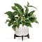 Teleflora's Lush Leaves Pothos Plant Bouquet