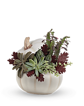 Spooky Succulent Garden , Mixed Bouquets , Same Day Flower Delivery , White , Teleflora