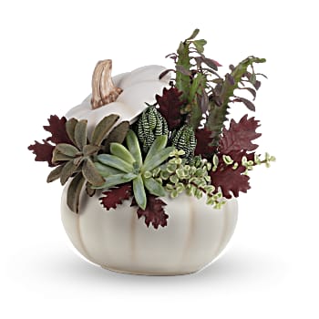 Teleflora's Spooky Succulent Garden