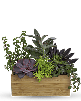 Grow Positive Garden , Mixed Bouquets , Same Day Flower Delivery , Green , Teleflora