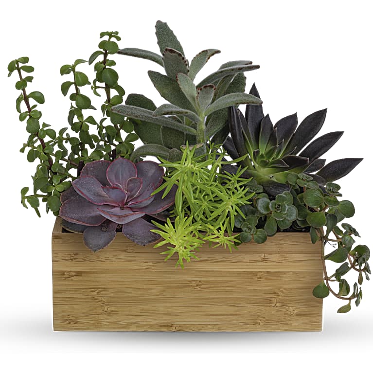 Grow Positive Garden