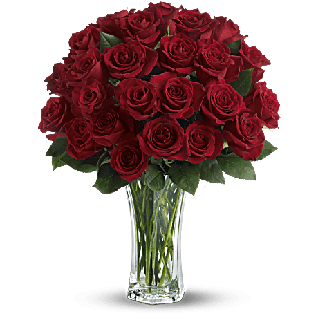 Love and Devotion - Long Stemmed Red Roses