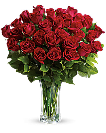 Two Dozen Red Roses with Red Vase by 1-800 Flowers