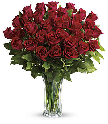 Love and Devotion - Long Stemmed Red Roses Flowers