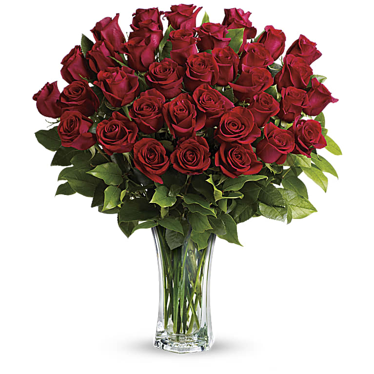 Love and Devotion - Long Stemmed Red Roses