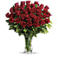 Love and Devotion - Long Stemmed Red Roses