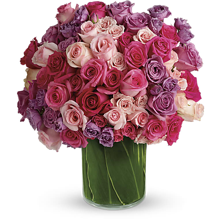 Rose Rapture