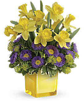 Multi-Colored , Asters , Playful Springtime Daffodil Bouquet , Same Day Flower Delivery By Teleflora