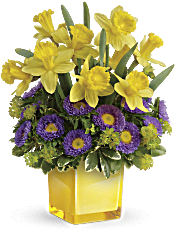 Teleflora's Playful Springtime Daffodil Bouquet Flowers