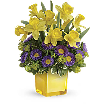 Teleflora's Playful Springtime Daffodil Bouquet