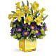 Playful Springtime Daffodil Bouquet