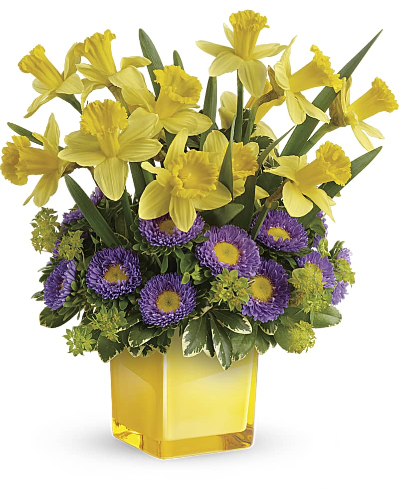 Daffodil Delight at From You Flowers