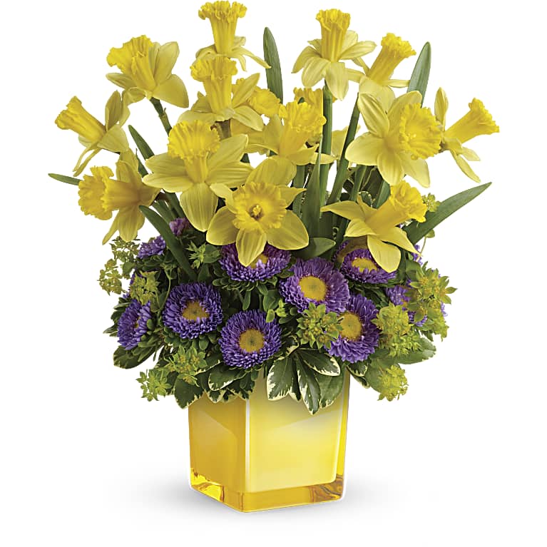 Playful Springtime Daffodil Bouquet