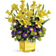 Playful Springtime Daffodil Bouquet