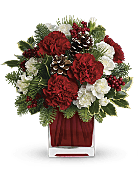 Teleflora Christmas Flower Arrangement. Red And White Carnations. Same Day Flower Delivery.