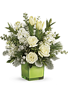 White , Mixed Bouquets , Winter Pop Bouquet , Same Day Flower Delivery , Teleflora Flowers Near Me
