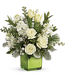 Teleflora's Winter Pop Bouquet Bouquet