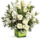 Winter Pop Bouquet
