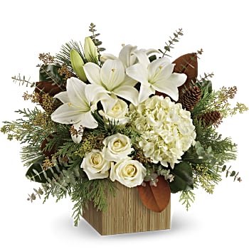 Teleflora's Snowy Woods Bouquet