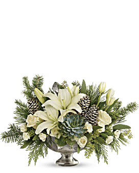 White , Mixed Bouquets , Winter Wilds Centerpiece , Same Day Flower Delivery By Teleflora