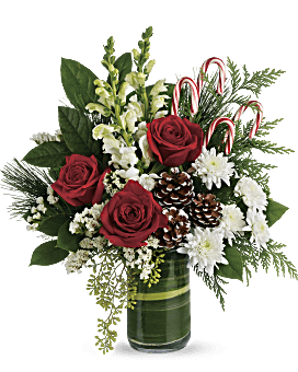 Bouquet de fleurs Pins festifs de Teleflora