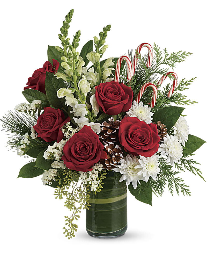 Teleflora S Festive Pines Bouquet Teleflora