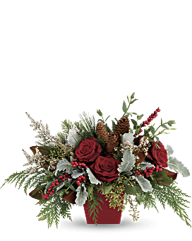 Winter Blooms Centerpiece , Artisanal Mix Of Winter Greens, Berries And Roses. Hand-Delivered By Teleflora.