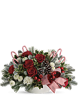 White , Roses , Jolly Candy Cane Bouquet , Same Day Flower Delivery , Teleflora Flowers Near Me