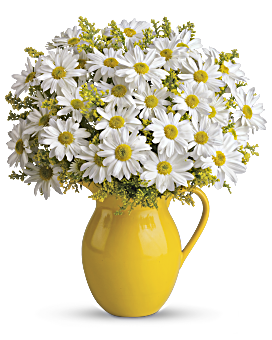 White Daisies & Yellow Solidago In Teleflora's Sunny Day Ceramic Pitcher. Teleflora Sunny Day Pitcher Of Daisies Bouquet.