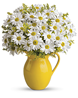Teleflora's Sunny Day Pitcher of Daisies Flower Arrangement