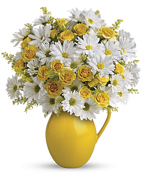 Teleflora's Sunny Day Pitcher of Daisies Flower Arrangement
