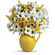 Sunny Day Pitcher of Daisies