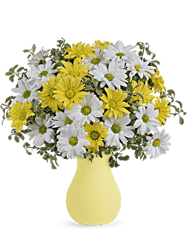 Teleflora'sUpsyDaisy
